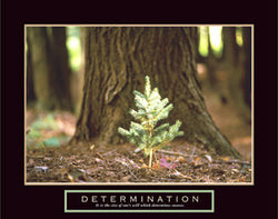 Little Pine Tree "Determination" Motivational Poster - Front Line