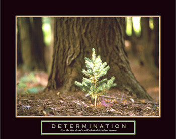 determination tree poster