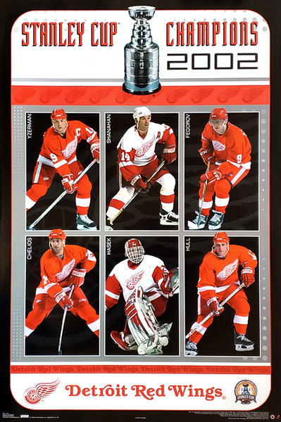 25th Anniversary of the Detroit Red Wings' Stanley Cup Hardcover Book –  Pediment Publishing