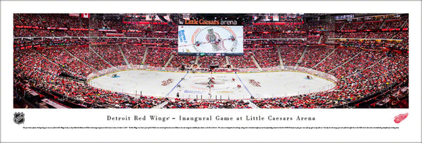 2022 NHL Winter Classic Panoramic Poster - Minnesota Wild vs. St