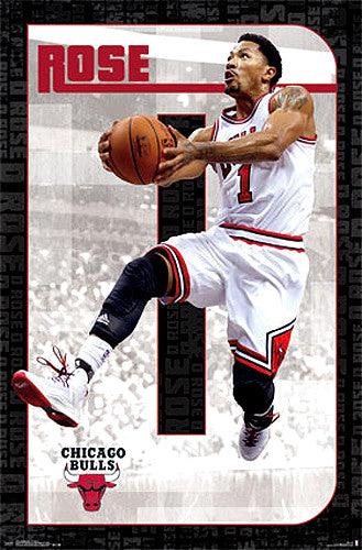 Chicago Bulls Bull's Eye Poster (Jalen Rose, Jay Williams) - Costacos 2003