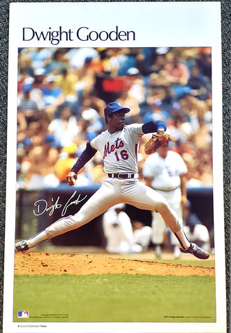Dwight Gooden Rookie New York Mets Vintage Original Poster - Sports –  Sports Poster Warehouse