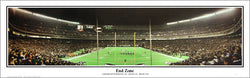 Philadelphia Eagles Veterans Stadium "End Zone" Panoramic Poster Print - Everlasting Images 1997
