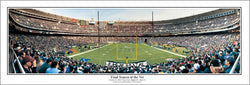 Philadelphia Eagles "Final Season at the Vet" Panoramic Poster Print - Everlasting Images