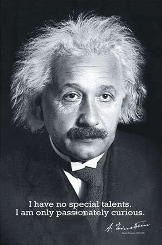 Albert Einstein "Passionately Curious" Classic Inspirational Quote Profile Poster - Eurographics