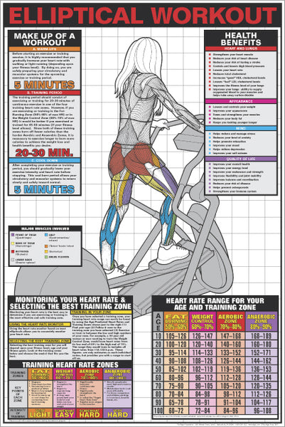 Elliptical Cross-Trainer Workout (Women's) Fitness Wall Chart Poster - Fitnus Posters