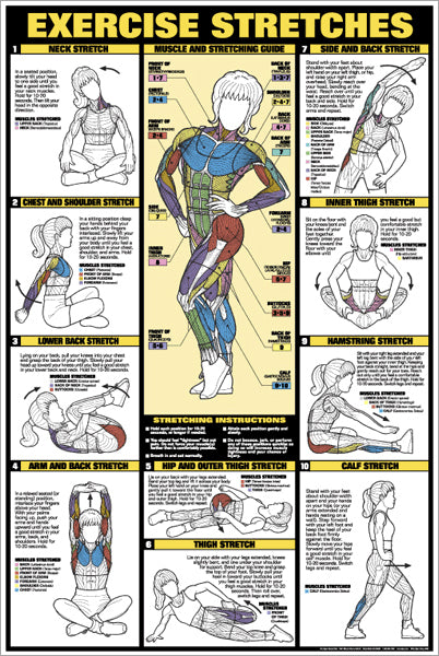 Women's Exercise Stretches Stretching Professional Fitness Wall Chart Poster - Fitnus Corp.