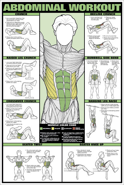 Men Printable Arm Workouts With Dumbbells Printable Arm Exercises With ...