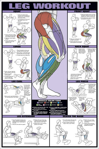 Leg Workout Professional Fitness Gym Wall Chart Poster - Fitnus
