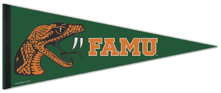 Famu New Beginnings Logo Design