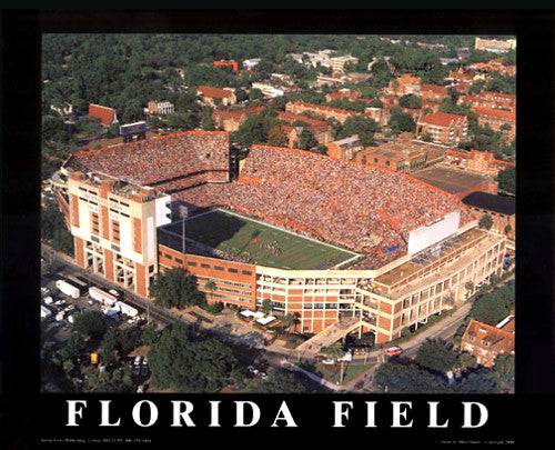 Florida Field (The Swamp) "From Above" Premium Poster Print - Aerial Views