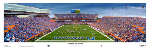 Florida Gators Football "Romp in the Swamp" - USA Sports Inc.