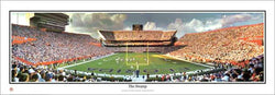 Florida Gators "The Swamp" Ben Hill Griffin Stadium Gameday Panoramic Poster - Everlasting