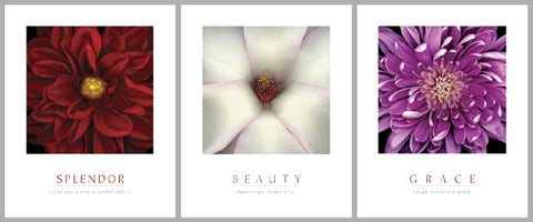 COMBO: "Splendor-Beauty-Grace" Inspirational Flowers - Front Line