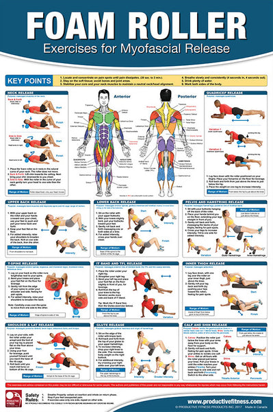Foam Roller Exercises for Myofascial Release Fitness Gym Physiotherapy Wall Chart Poster - PFP