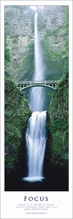 Waterfall "Focus" Natural Beauty Inspirational Motivational Poster w/Emerson Verse - Eurographics