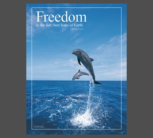 Soaring Dolphins "Freedom" (Abraham Lincoln Quote) Inspirational Motivational Poster - Jaguar