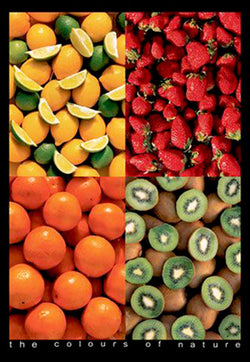 Five Fruits "The Colours of Nature" Food Kitchen Poster - Eurographics Inc.