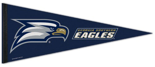 Philadelphia Eagles Wool Logo Pennant 13x32 - Sports Addict