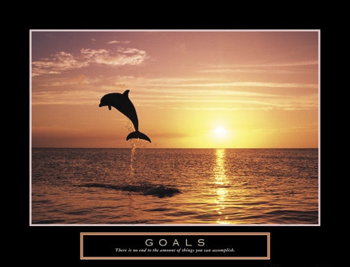 Dolphin in Flight "Goals" Motivational Inspirational Poster Print - Front Line