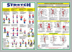Fitness for Golf Official 2-Poster Set (Stretching and Muscle Work) - Chartex Ltd.