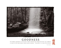 Waterfall "Goodness" Tao Wisdom Motivational - Front Line