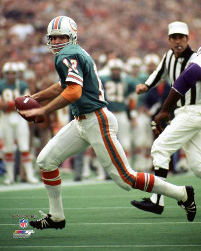 SUPER BOWL VIII CHAMPION 1973 MIAMI DOLPHINS