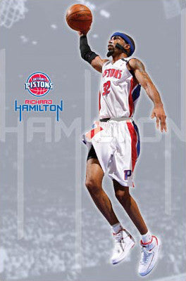 Richard Hamilton "Flight" Detroit Pistons Poster - Costacos 2008