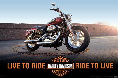 Harley-Davidson Motorcycles "Flaming Skid" Poster - Pyramid America