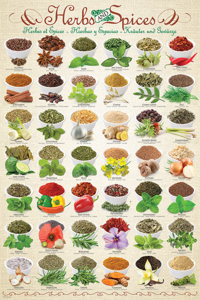The Herbs and Spices Poster (42 Cooking Ingredients) - Eurographics Inc.
