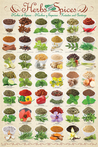 The Herbs and Spices Poster (42 Cooking Ingredients