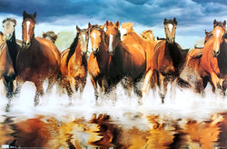 Herd of Horses Crossing a Stream Nature's Glory Poster - Trends International