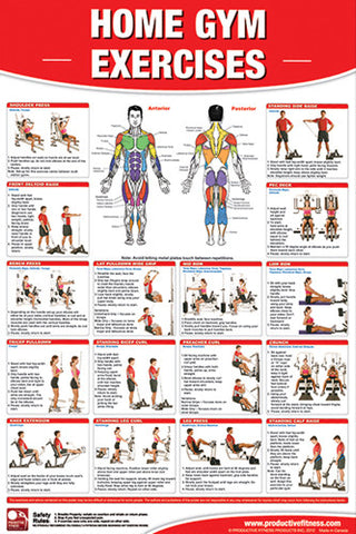 Home Gym Exercises Wall Chart (Universal Equipment) Poster - Productive Fitness