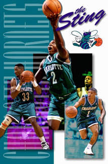 Charlotte Hornets "The Sting" Vintage NBA Poster - Costacos 1994
