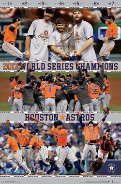 Astros Baseball Bat Skyline Poster (24x16)