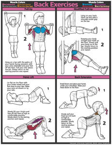 Kids Back Exercises Fitness Wall Chart Poster - Fitnus Posters Inc.