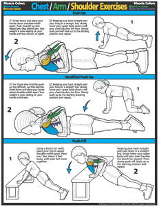 chest exercises for men chart