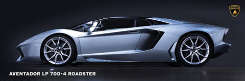 Lamborghini Aventador LP 700-4 Roadster Autophile Profile Sports Car Poster - Eurographics