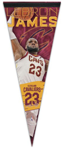 Cleveland CAVALIERS 2016 Championship Poster, Cleveland Cavaliers NBA –  McQDesign