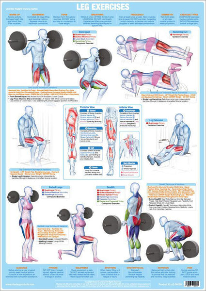 Leg Exercises Weight Training Fitness Instructional Wall Chart Poster - Chartex Products