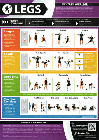 Legs Workout Professional Fitness Training Wall Chart Poster (w/QR Code) - PosterFit