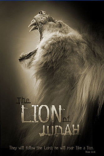 The Lion of Judah (Hosea 11:10) Biblical Inspirational Poster - Slingshot Publishing