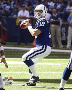 Peyton Manning "Action" (2008) Indianapolis Colts Premium Poster Print - Photofile 16x20