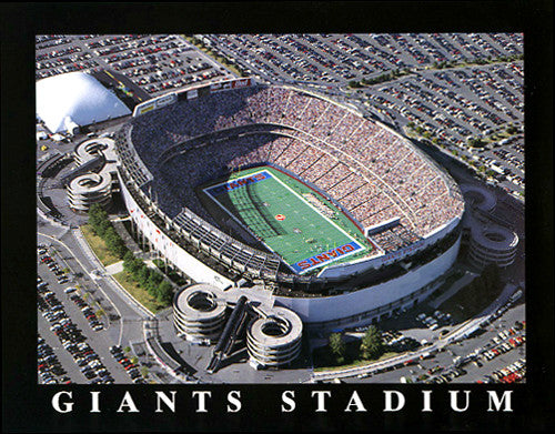 New York Giants Super Season XLII Super Bowl Champs Poster