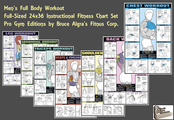 Fitnus Chart Series Exercise & Muscle Guide-Male 24x36 :  Fitness Charts And Planners : Sports & Outdoors