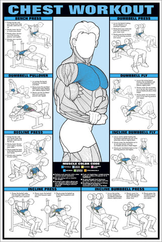 Chest Workout Professional Fitness Instructional Wall Chart Poster - Fitnus Posters Inc.