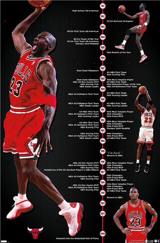 Michael Jordan - Fly Wall Poster 