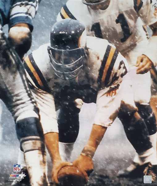 Mick Tingelhoff Center in Snow (1969) Minnesota Vikings Premium Post –  Sports Poster Warehouse