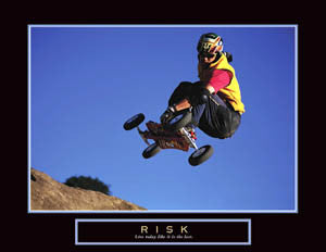 Mountainboarding "Risk" Motivational Poster - Front Line