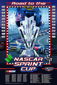 NASCAR Sprint Cup 2008 Official Poster - Action Images 2008